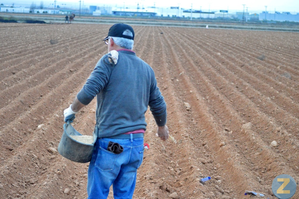 ob.imagen.Descripcion