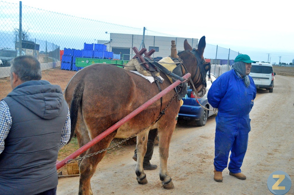 ob.imagen.Descripcion