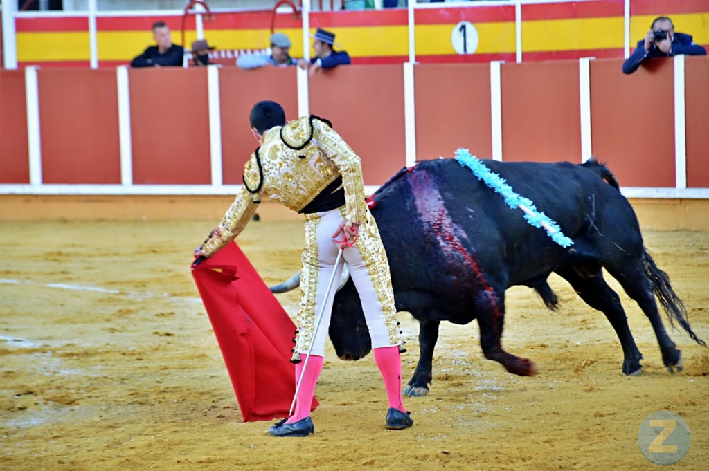 ob.imagen.Descripcion