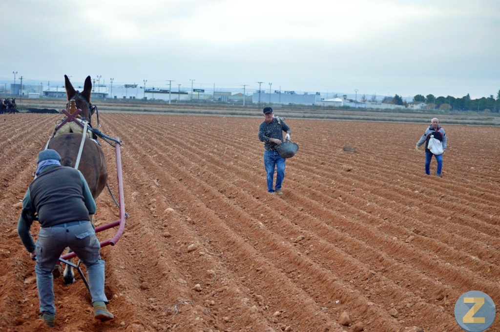 ob.imagen.Descripcion