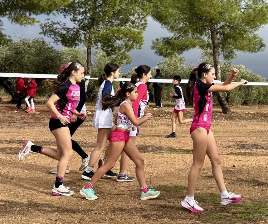 ob.imagen.Descripcion