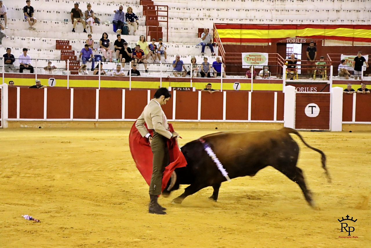 ob.imagen.Descripcion