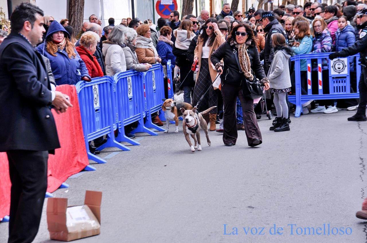 ob.imagen.Descripcion