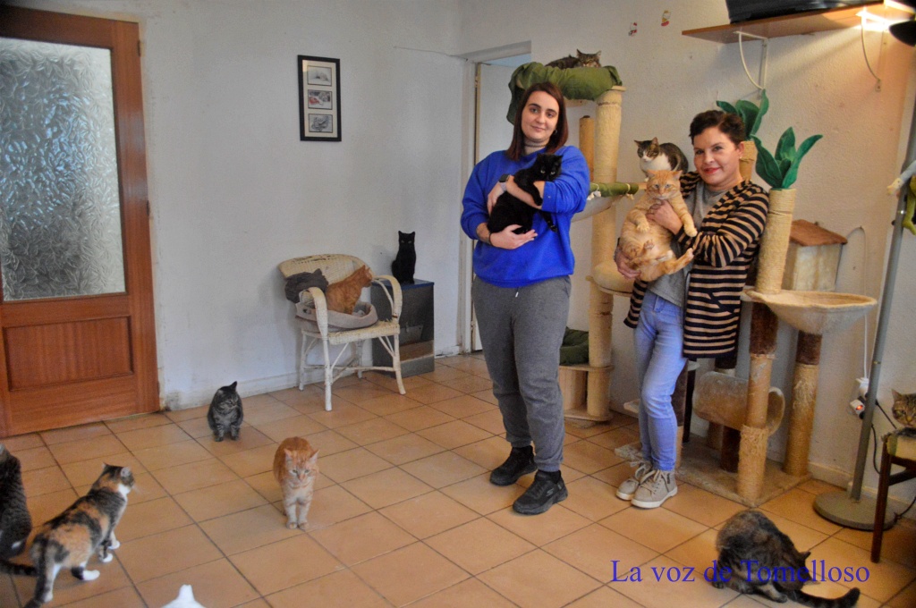 ob.imagen.Descripcion