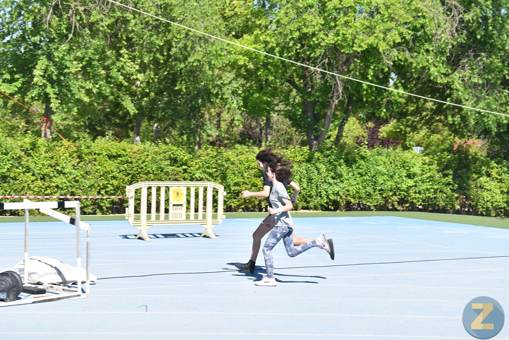 ob.imagen.Descripcion