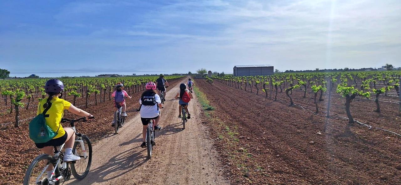 ob.imagen.Descripcion