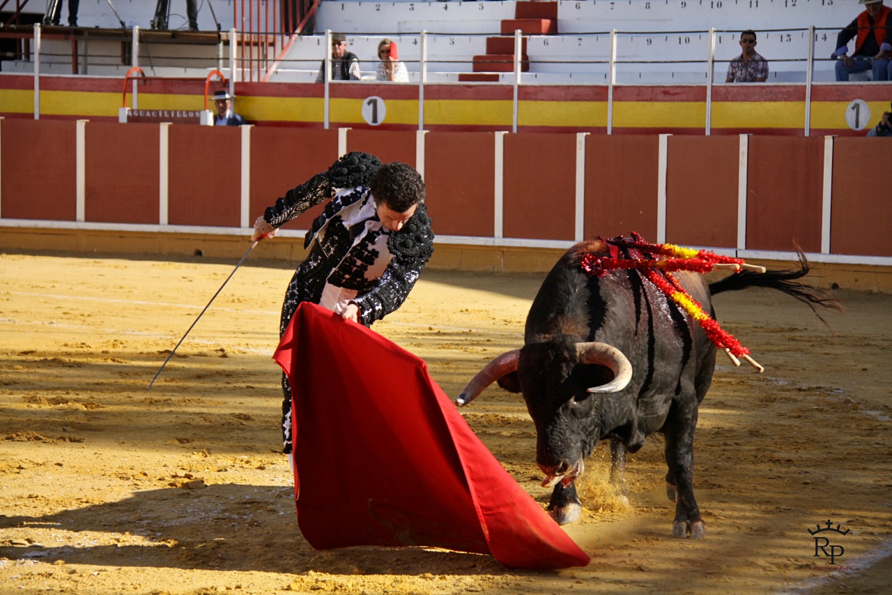 ob.imagen.Descripcion