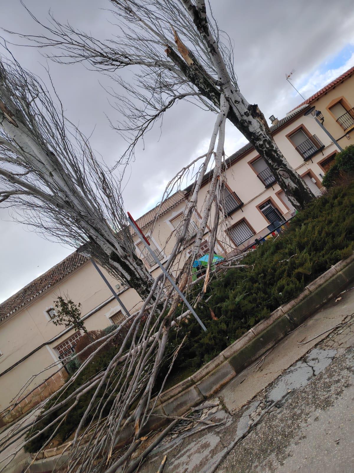 ob.imagen.Descripcion