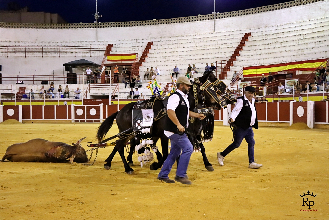 ob.imagen.Descripcion