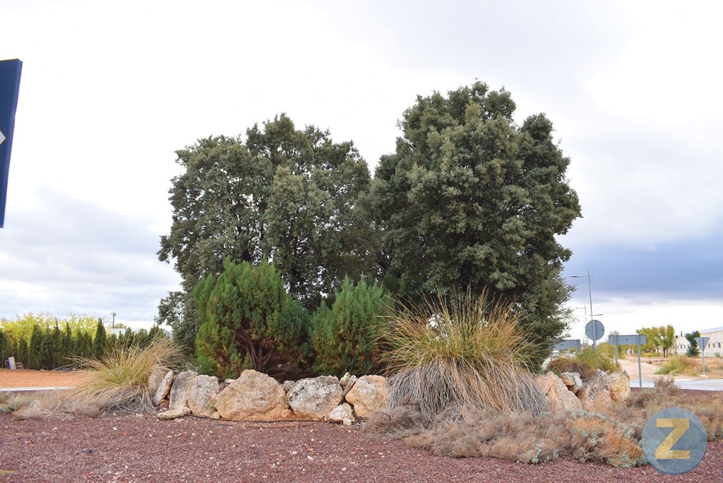 ob.imagen.Descripcion