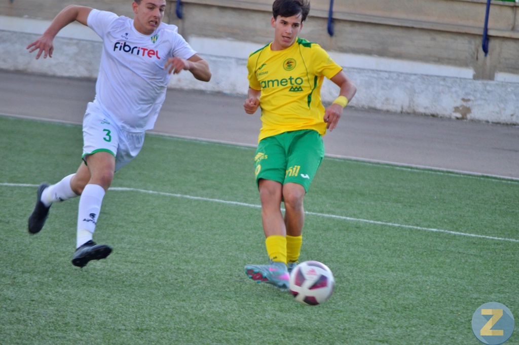 ob.imagen.Descripcion