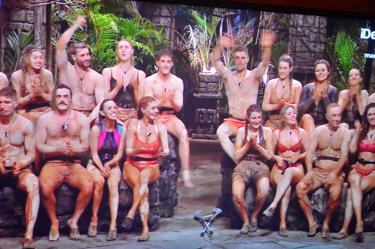 ob.imagen.Descripcion