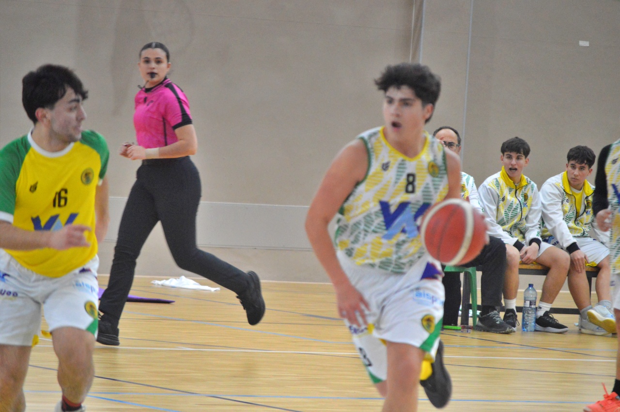 ob.imagen.Descripcion