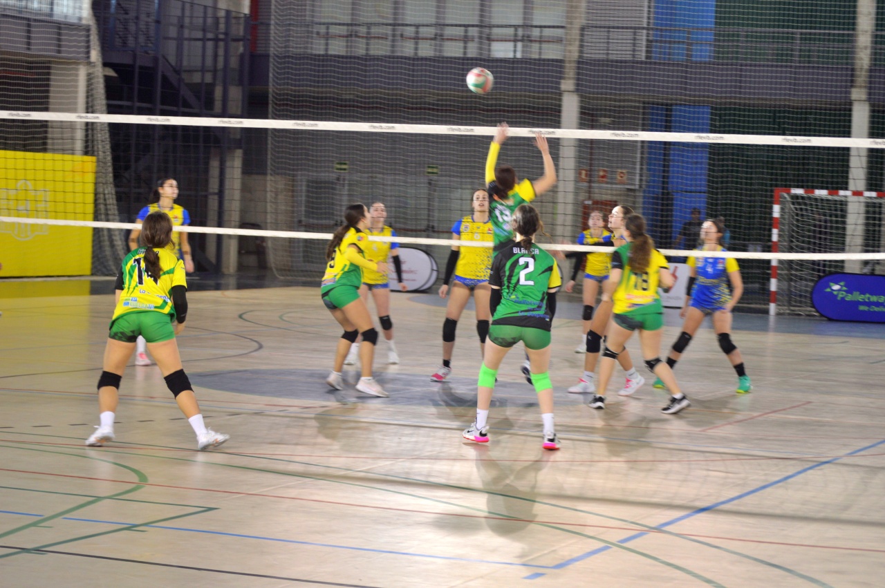 ob.imagen.Descripcion