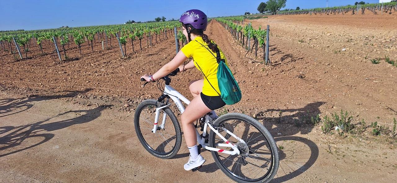 ob.imagen.Descripcion