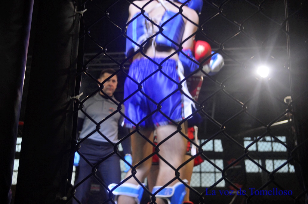 ob.imagen.Descripcion