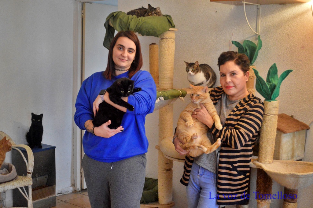 ob.imagen.Descripcion