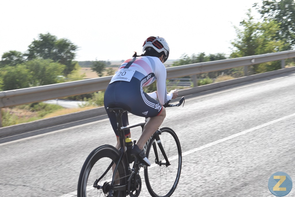 ob.imagen.Descripcion