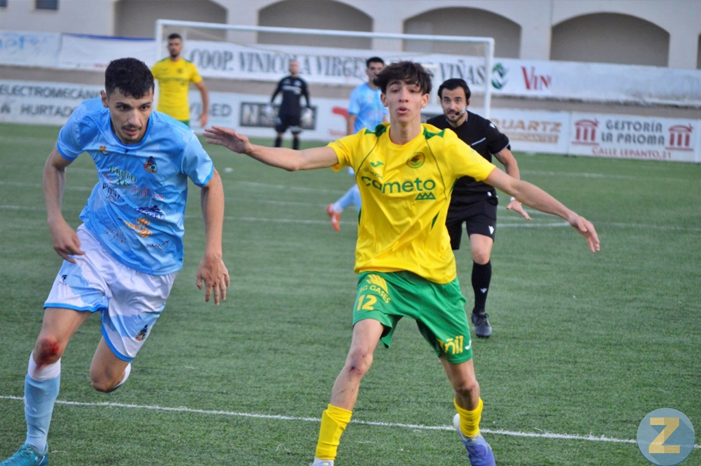 ob.imagen.Descripcion