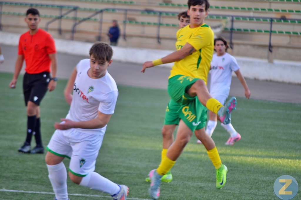 ob.imagen.Descripcion