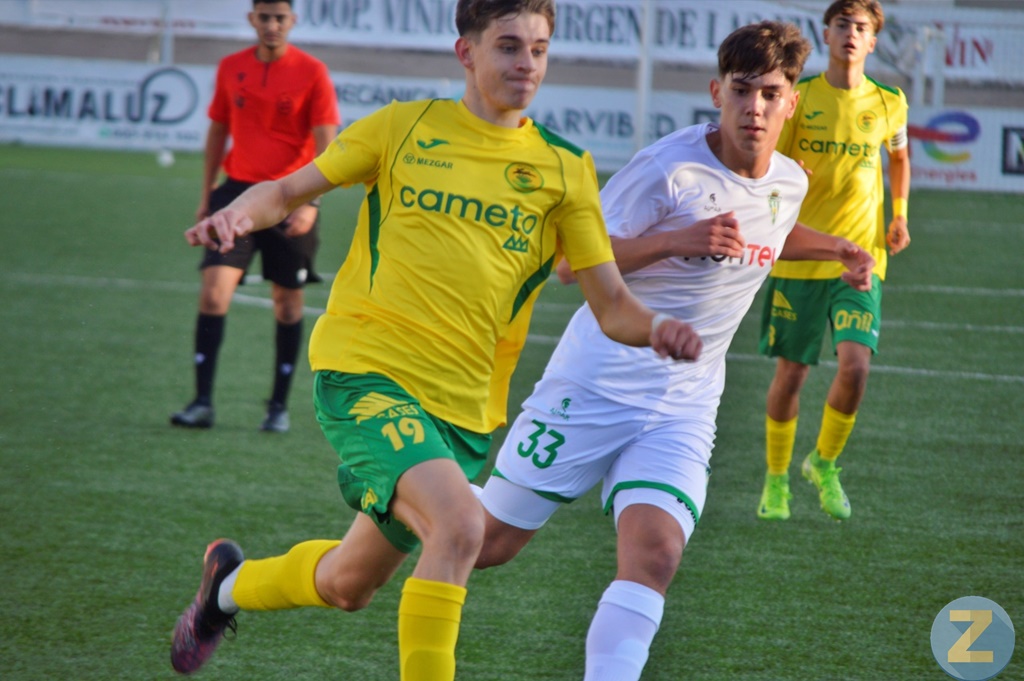 ob.imagen.Descripcion