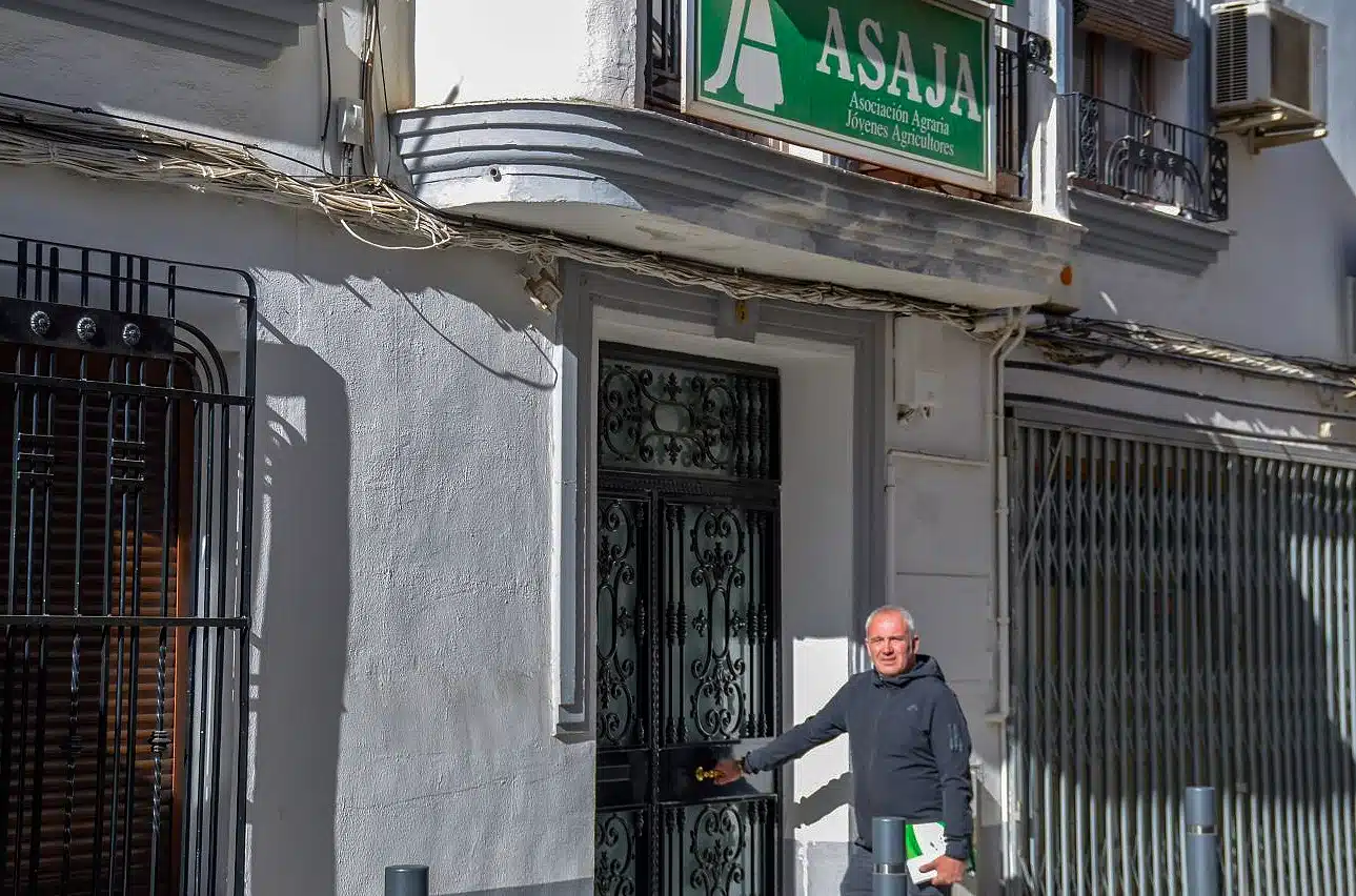 ob.imagen.Descripcion