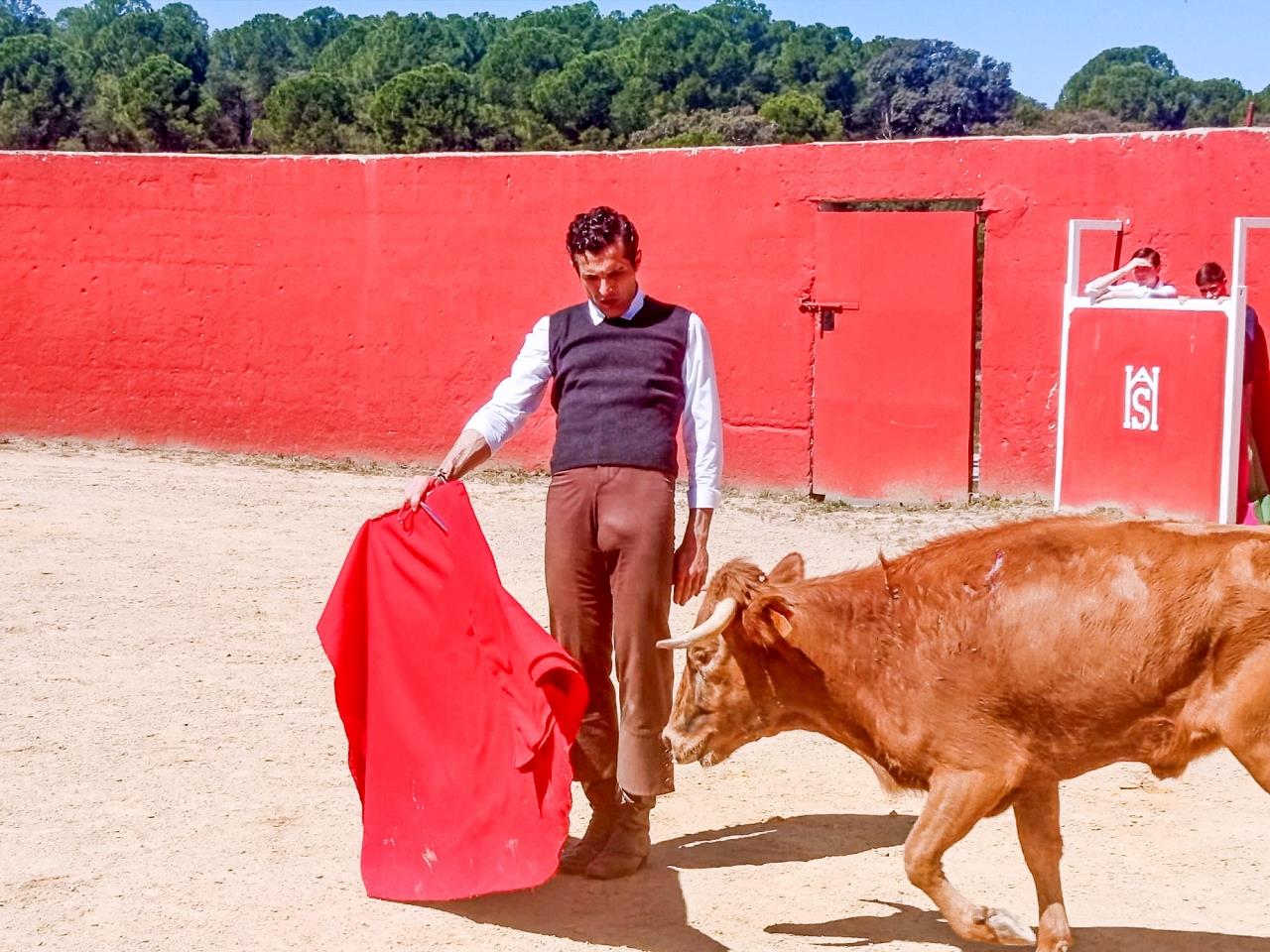 ob.imagen.Descripcion