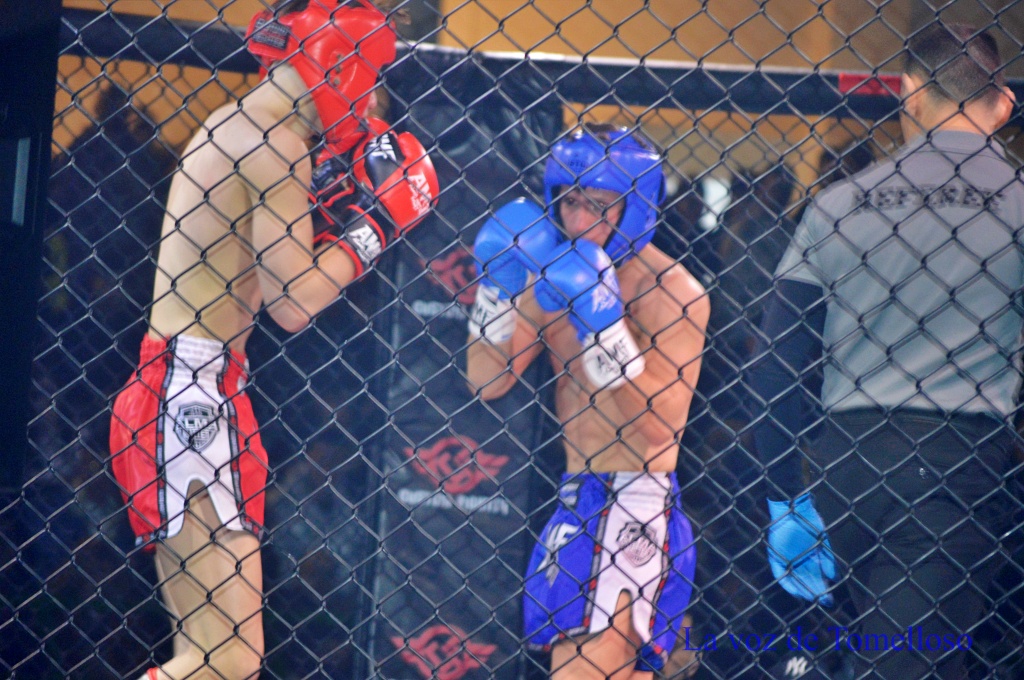 ob.imagen.Descripcion