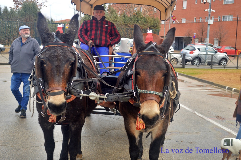 ob.imagen.Descripcion