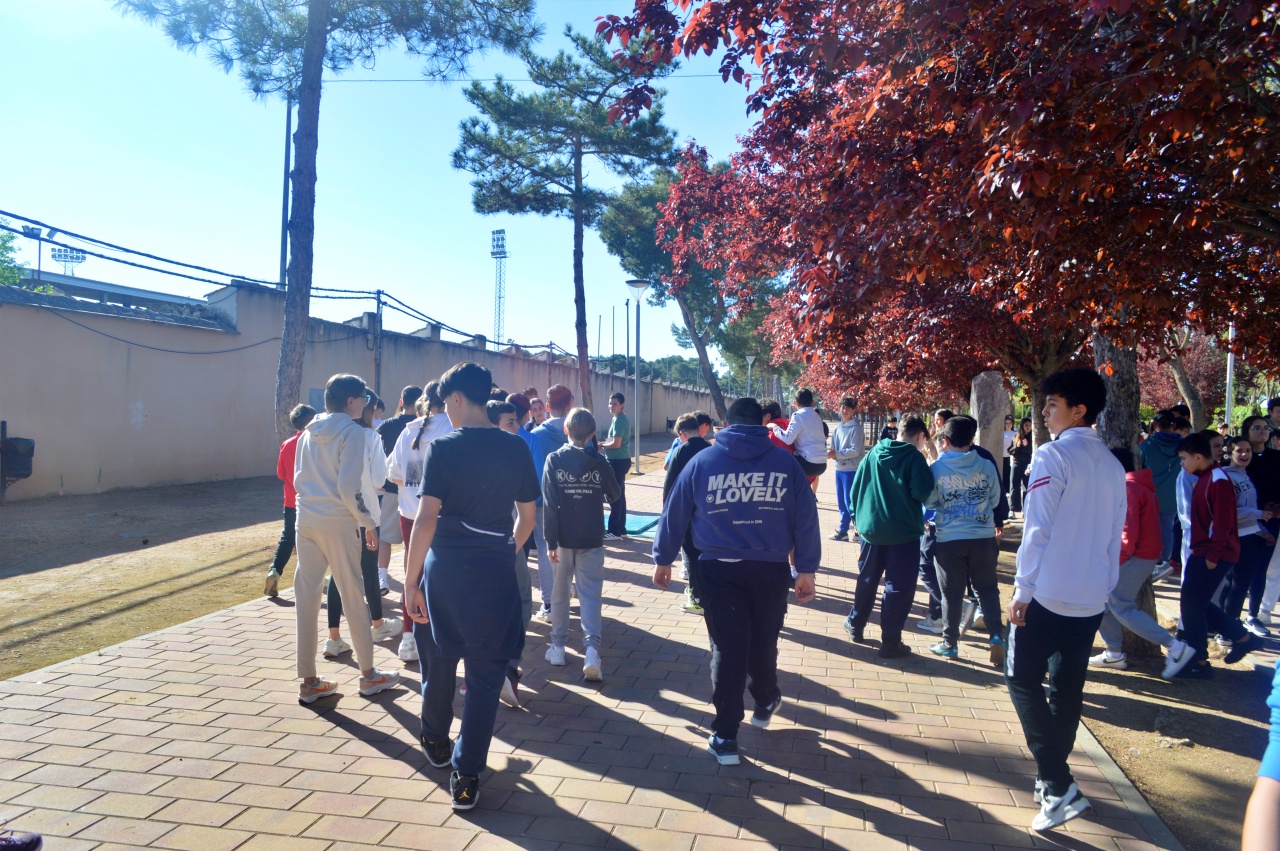 ob.imagen.Descripcion