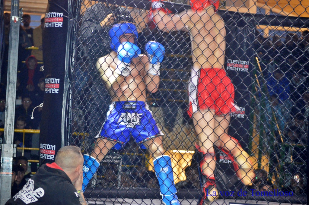 ob.imagen.Descripcion