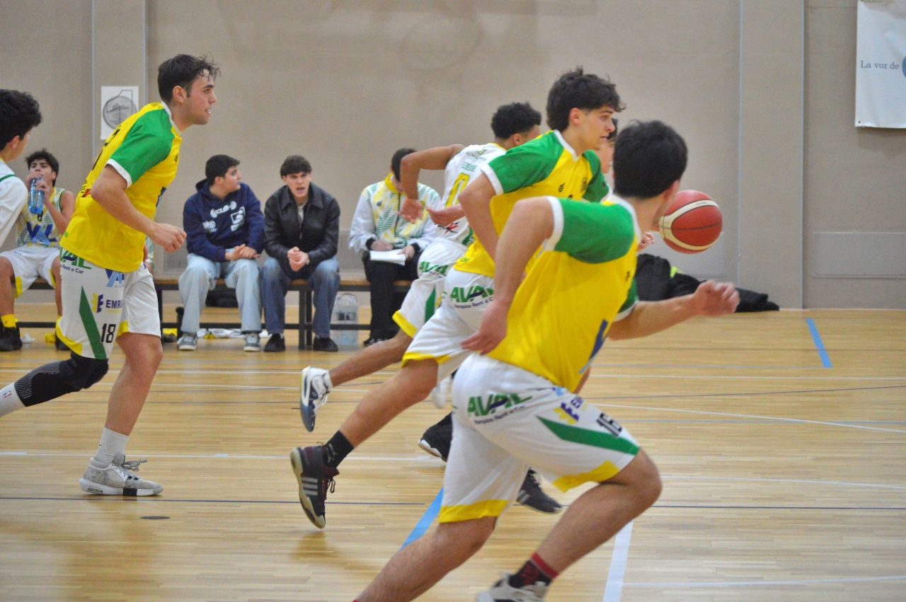 ob.imagen.Descripcion