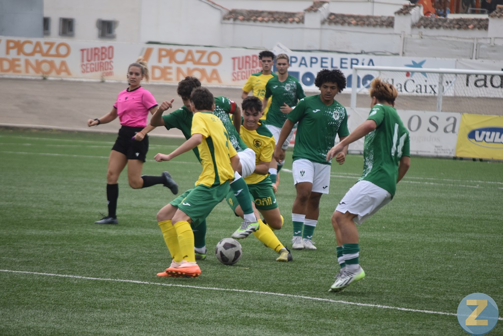 ob.imagen.Descripcion