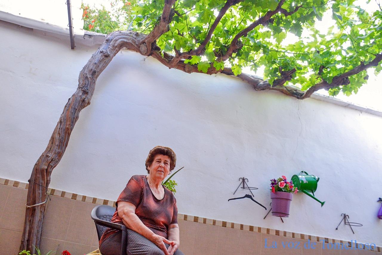 ob.imagen.Descripcion