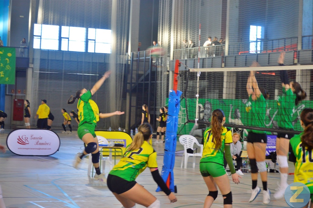 ob.imagen.Descripcion