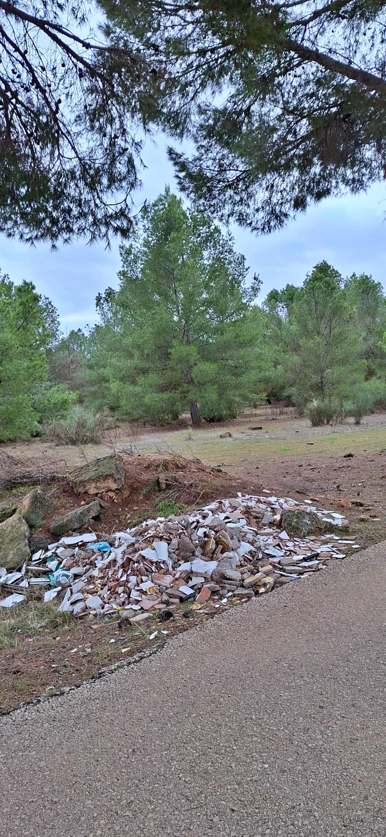 ob.imagen.Descripcion