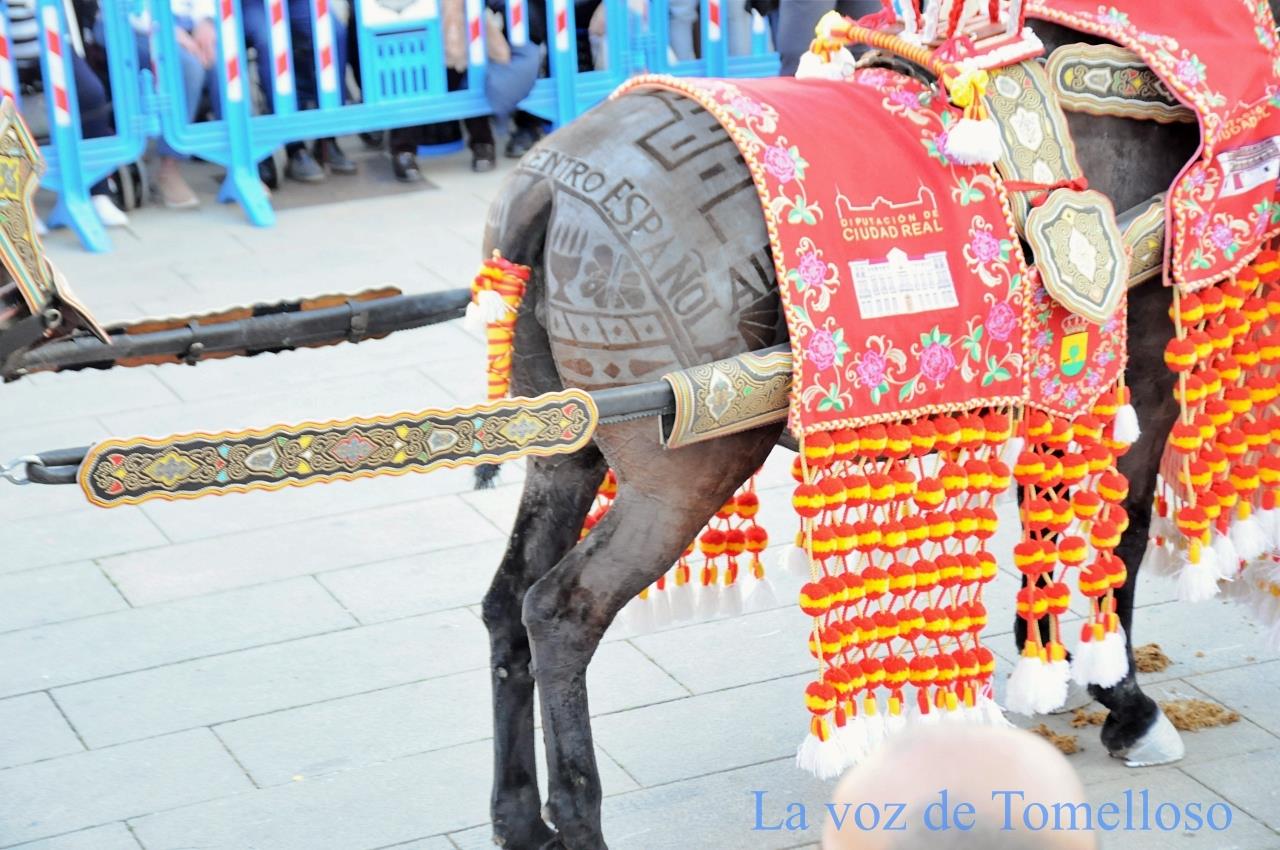 ob.imagen.Descripcion