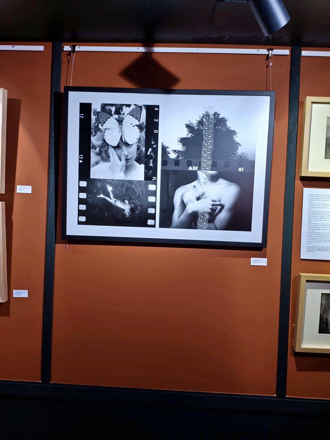 ob.imagen.Descripcion