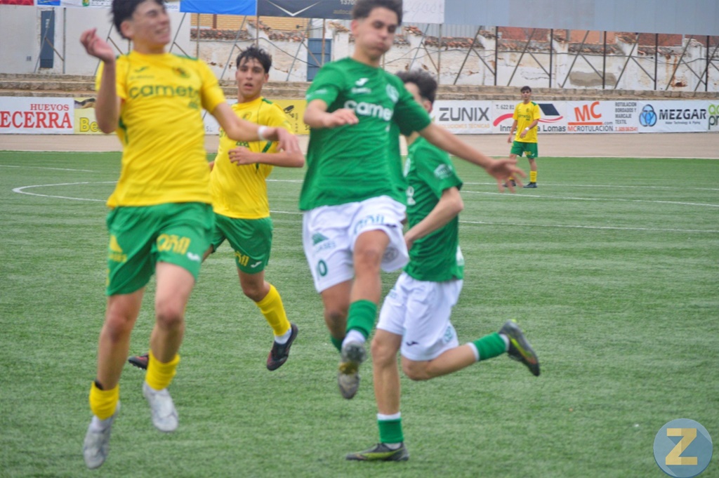 ob.imagen.Descripcion