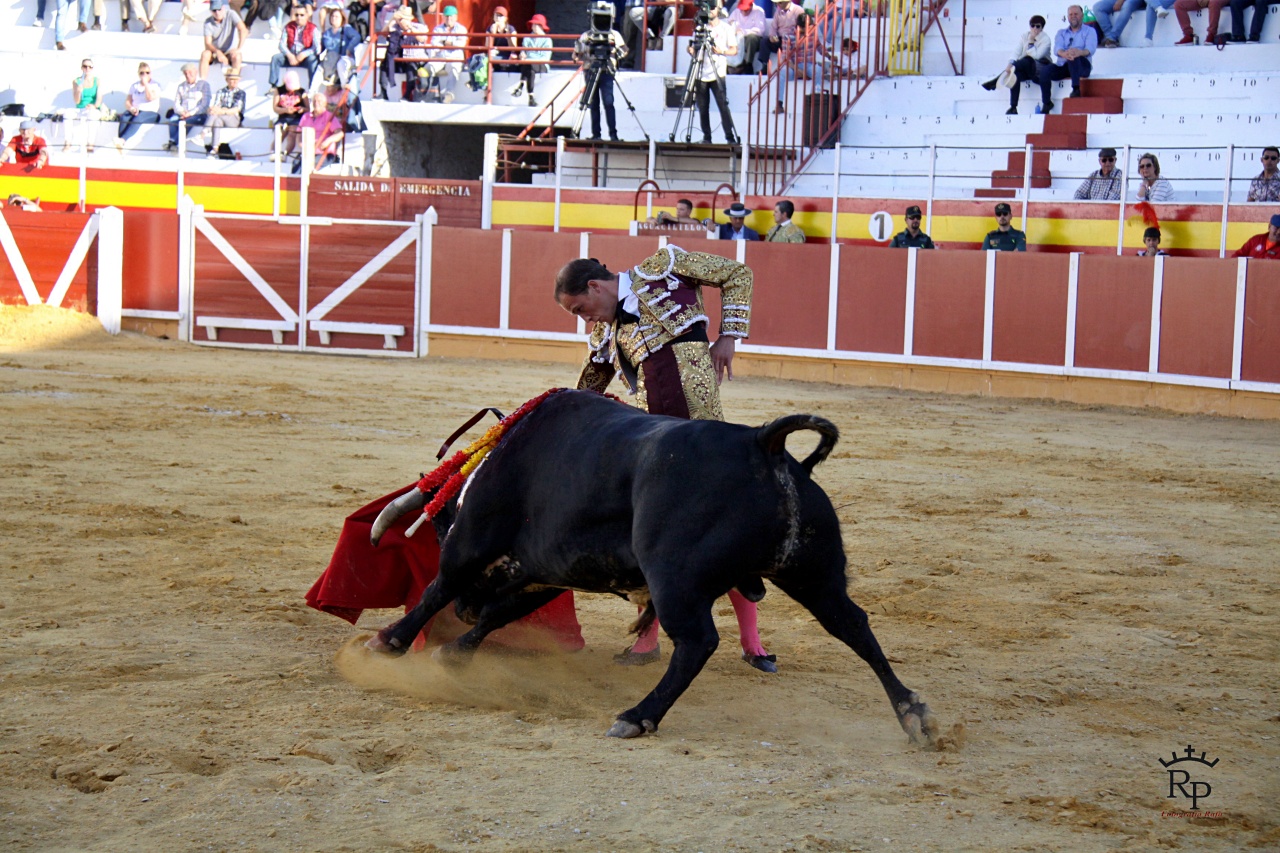 ob.imagen.Descripcion