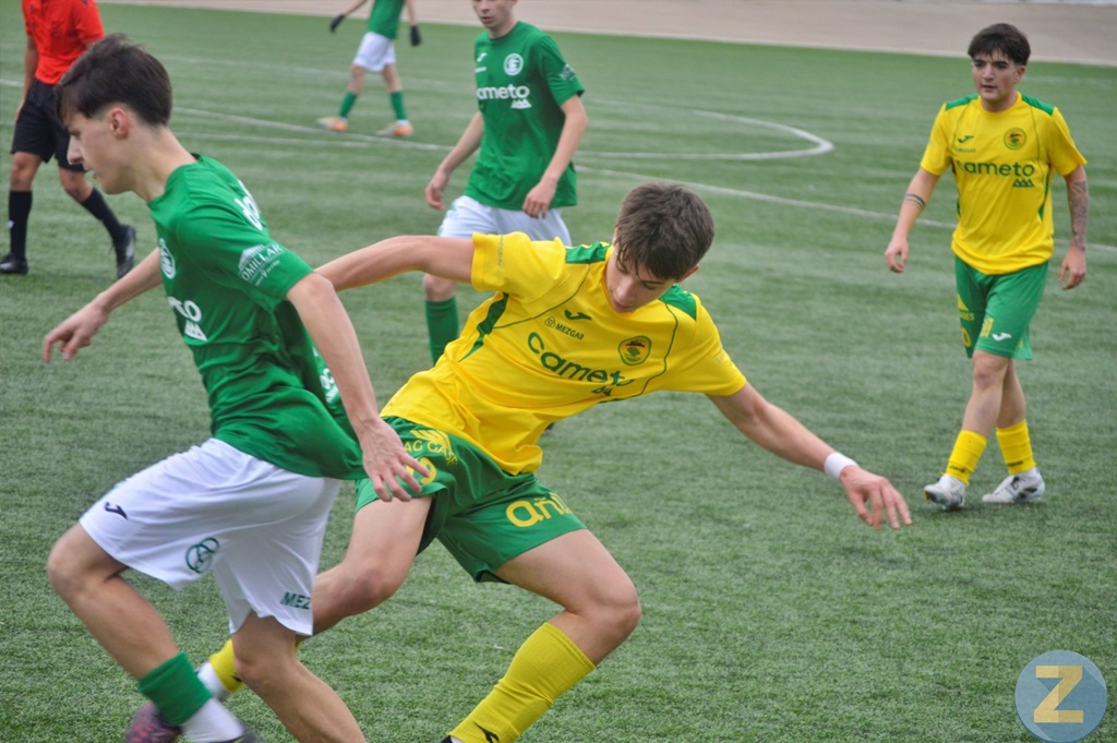 ob.imagen.Descripcion