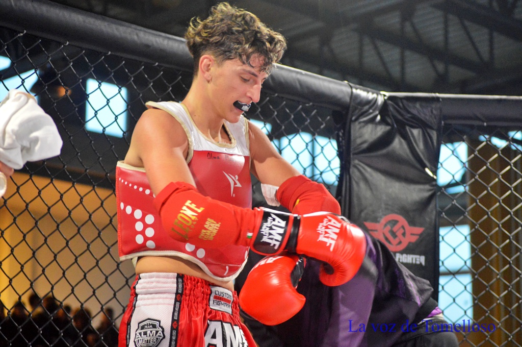 ob.imagen.Descripcion