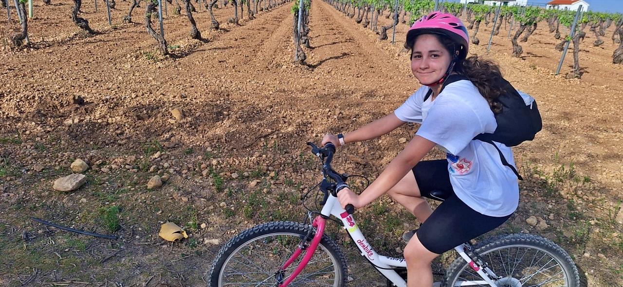 ob.imagen.Descripcion