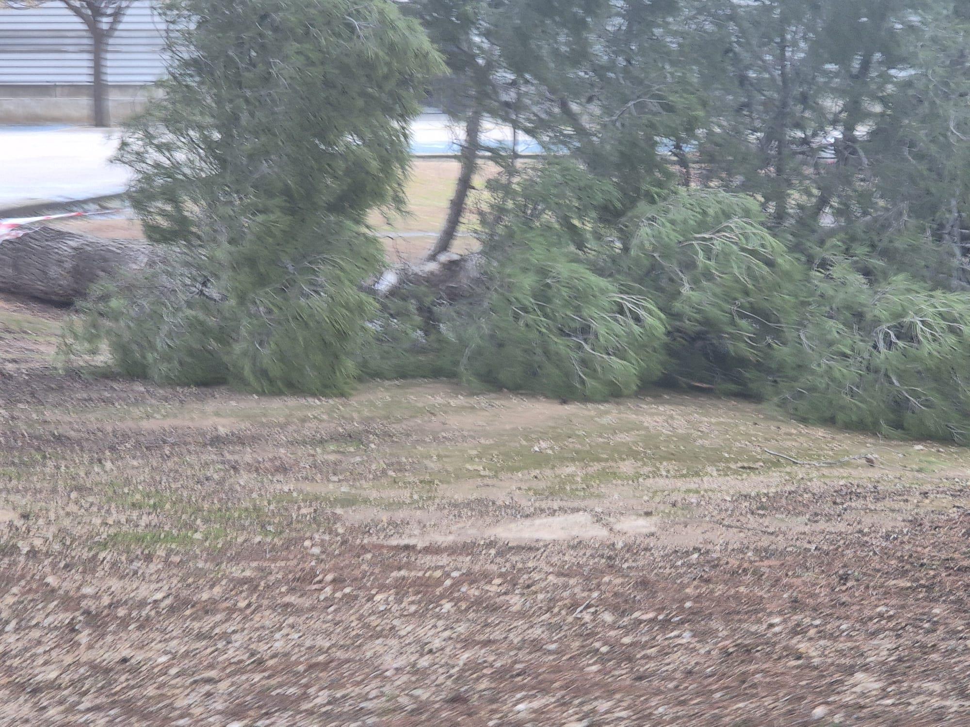 ob.imagen.Descripcion