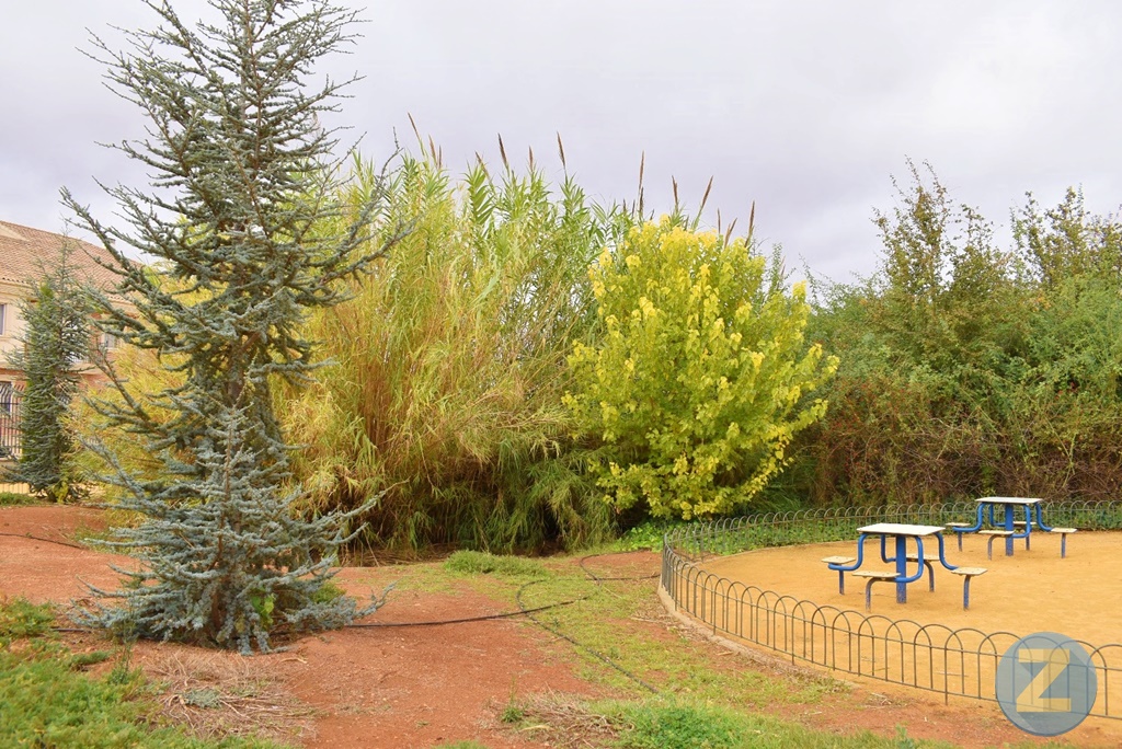 ob.imagen.Descripcion