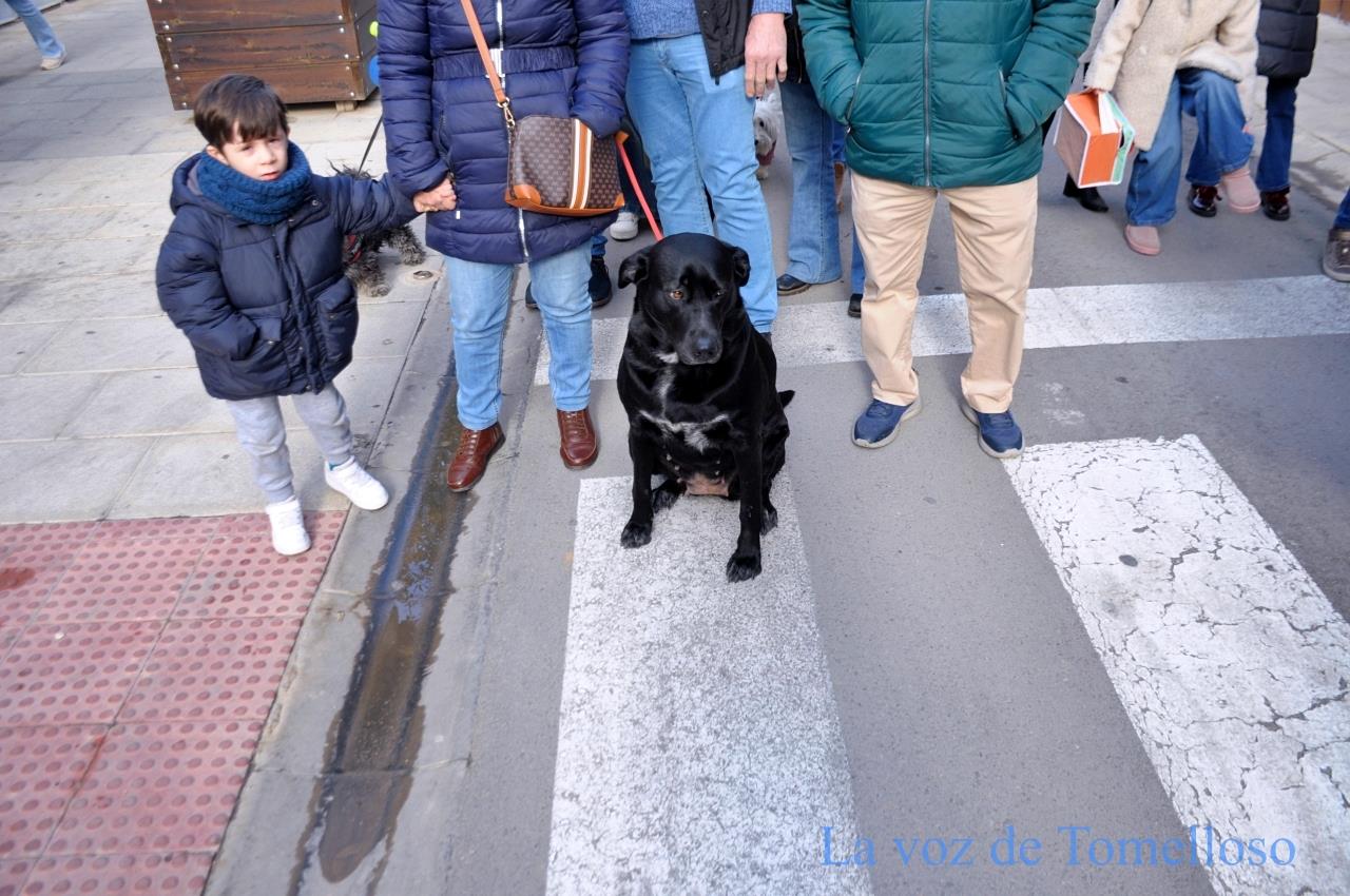 ob.imagen.Descripcion