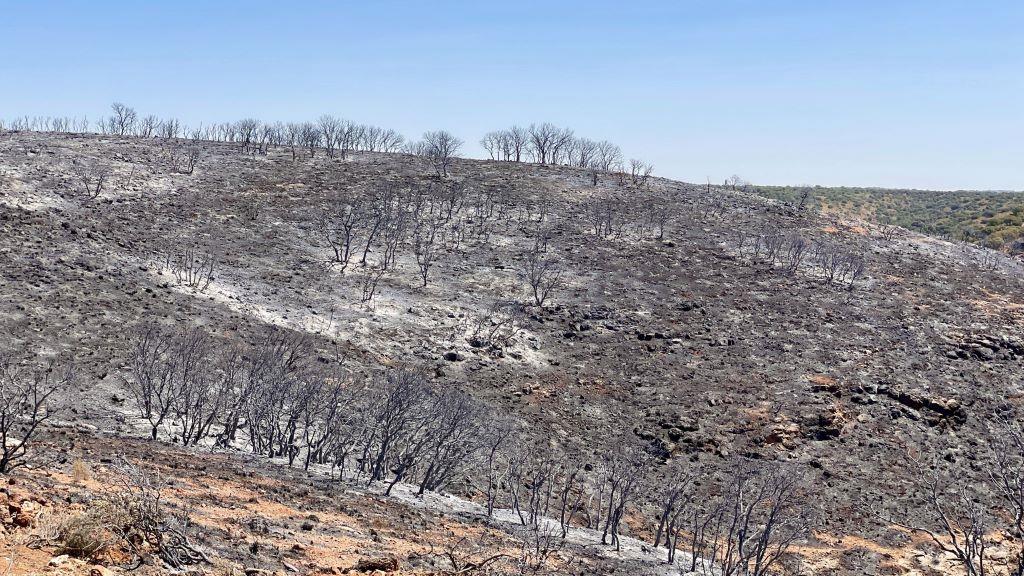 La zona del incendio de Ruidera, una semana después / Ruidera Treasures