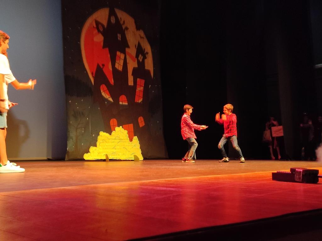 ob.imagen.Descripcion