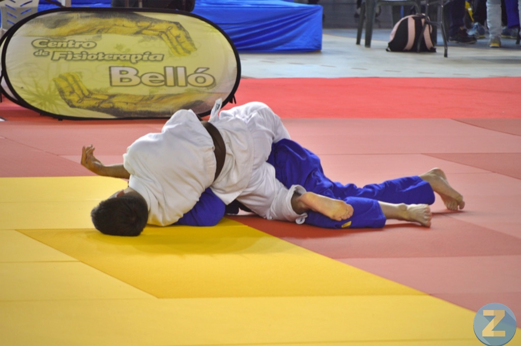 ob.imagen.Descripcion