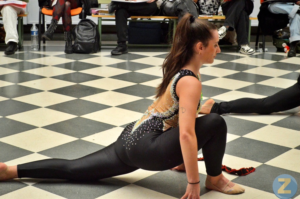 ob.imagen.Descripcion